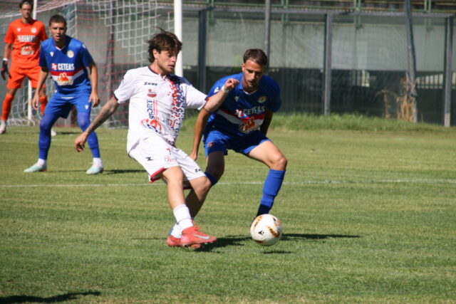pvfuc (11)