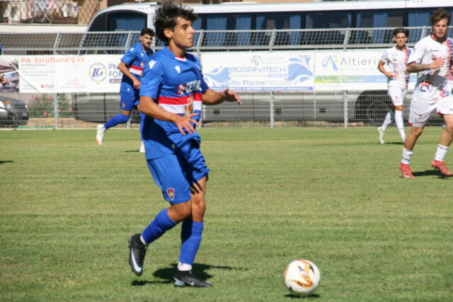 pvfuc (12)