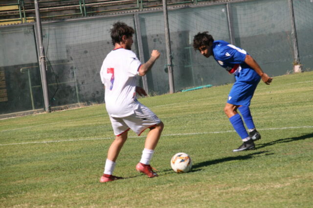 pvfuc (26)