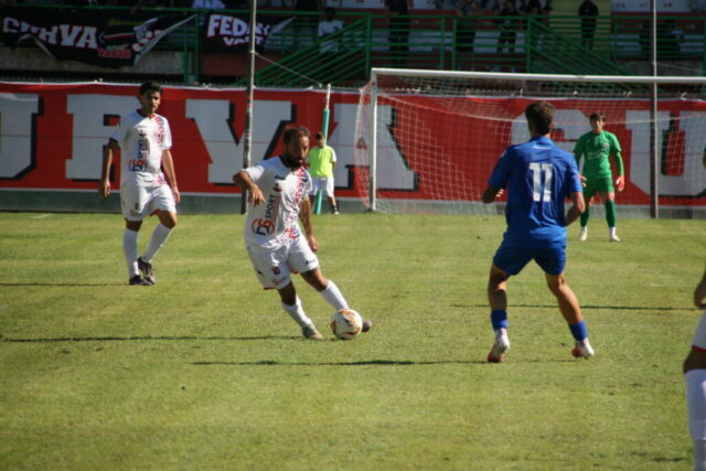 pvfuc (28)