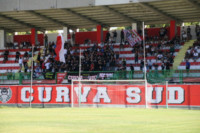 pvfuc (4)
