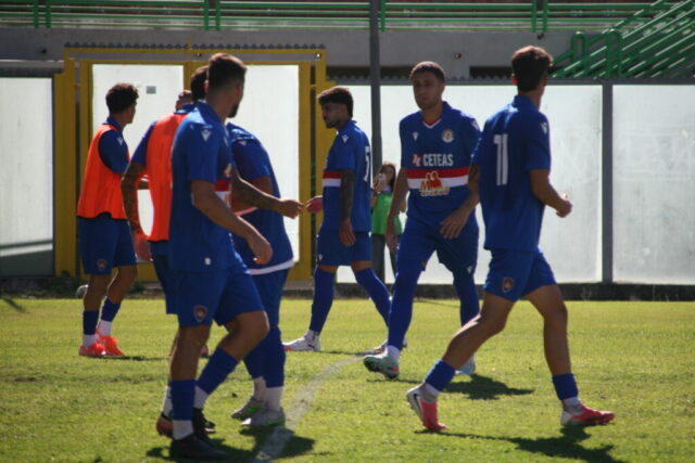 pvfuc (49)