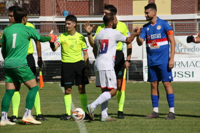 pvfuc (6)