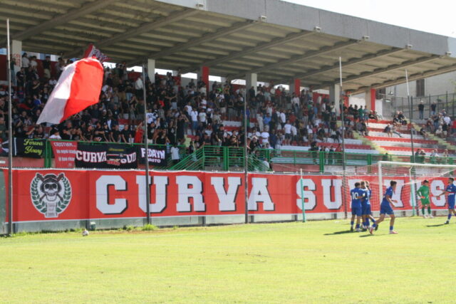 pvfuc (61)