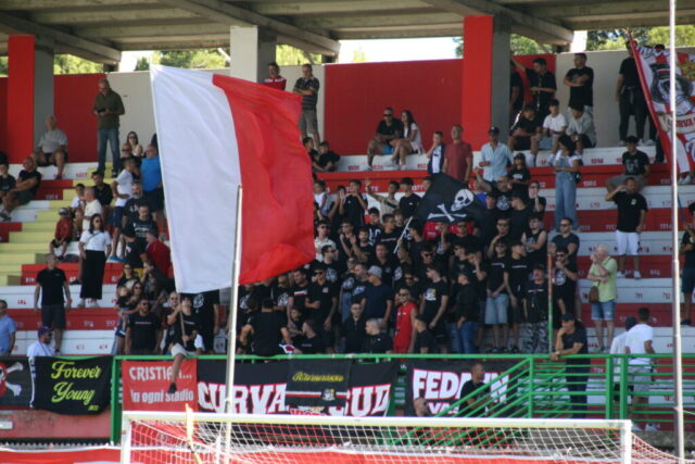 pvfuc (8)