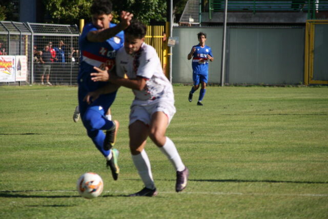 pvfuc (80)