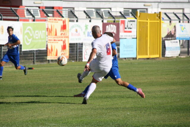 pvfuc (83)