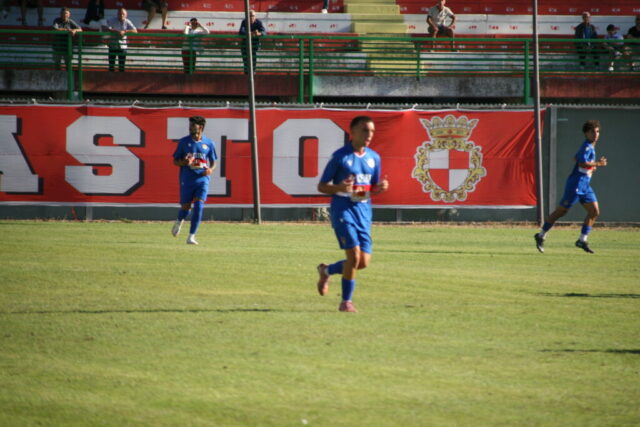 pvfuc (84)