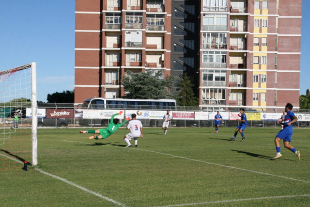 pvfuc (87)