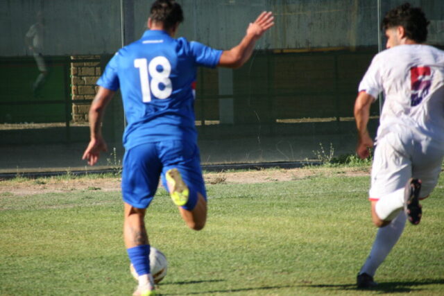 pvfuc (88)