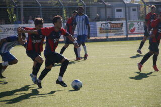 ss cup 26 (50)